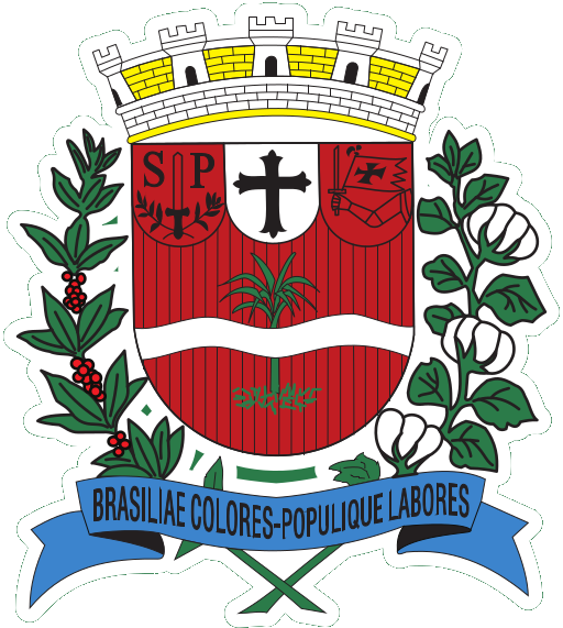 Brasão da cidade